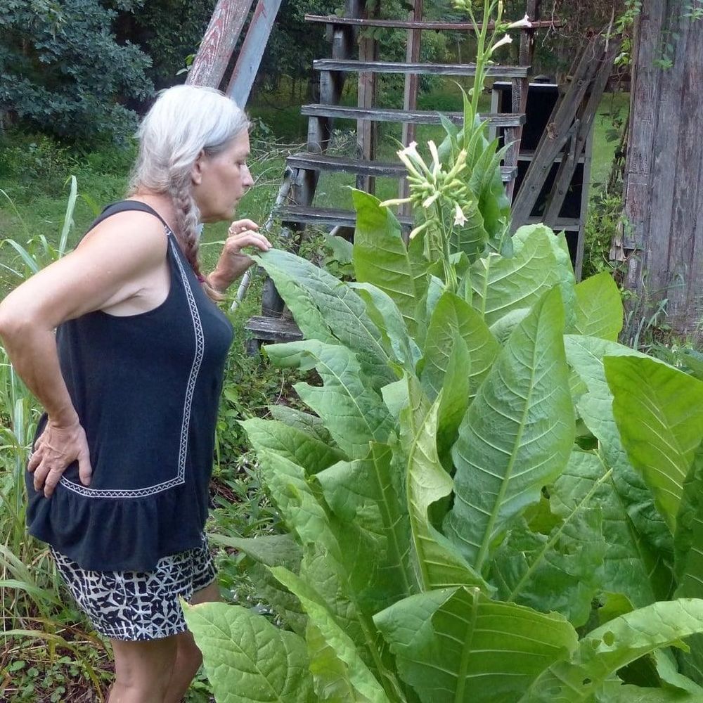 Meet your Posher, Katherine